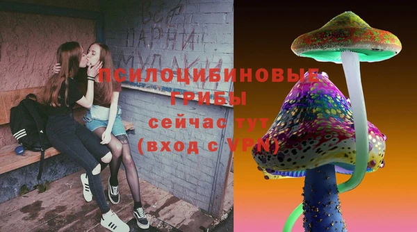 круглые Аркадак