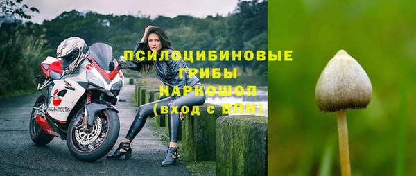 сатива Арсеньев