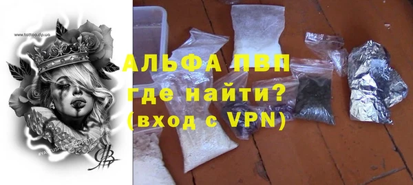 сатива Арсеньев