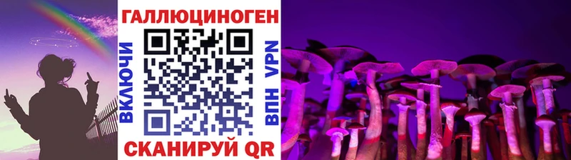 Купить закладки  Краснообск  Псилоцибиновые грибы MAGIC MUSHROOMS 