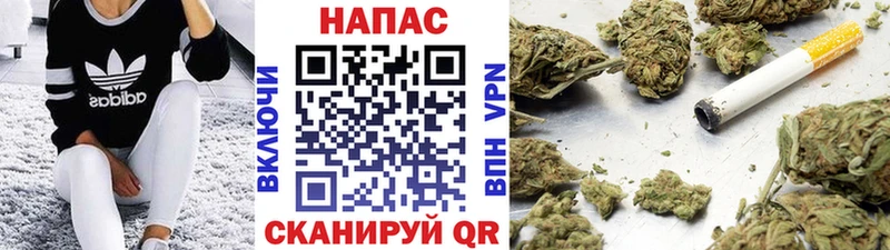 Купить где  Краснообск  Бошки Шишки планчик 